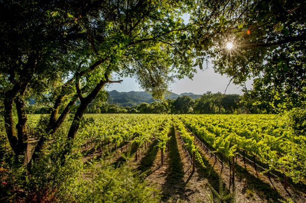 healdsburg-cs-cz.jpg