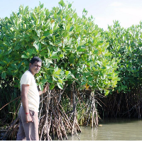 Arjunanelayaraja Arjunan, Secretary at Aalamaram