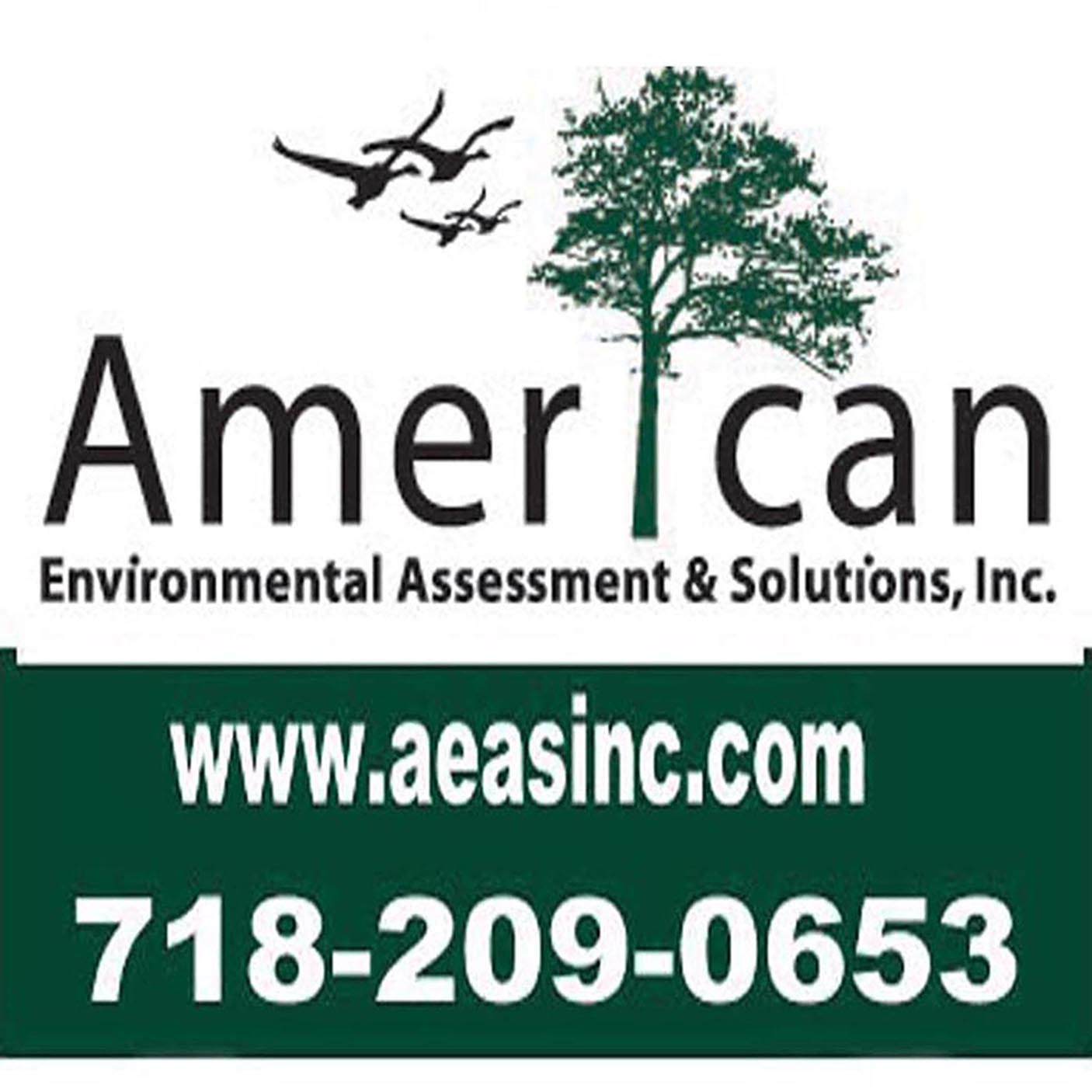 American Environmental, Due Diligence - Environmental Site Assessment