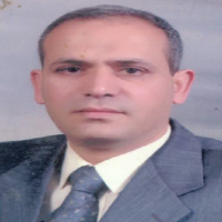 Mahmoud Elsheikh, Prof. Dr.