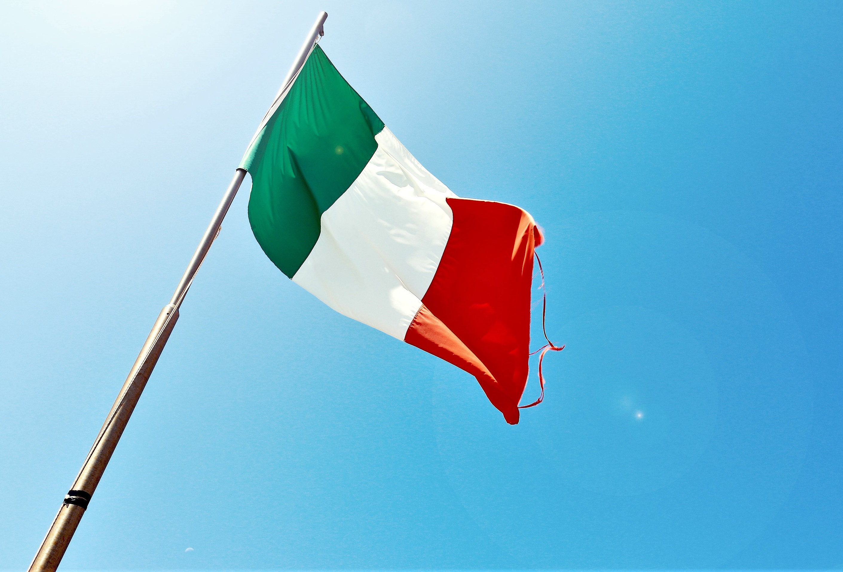 plant in Italy (5779)