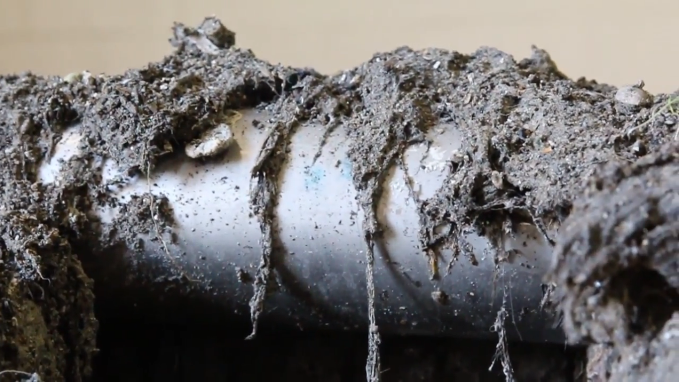 Wipes in the Pipes