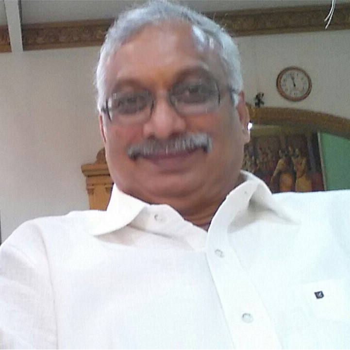 NARAYANAN VS, NARAYANAN CONSULTANTS - DIRECTOR